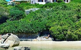 Bosky Dell On Boulders Beach